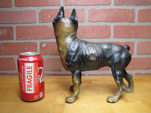Load image into Gallery viewer, BOSTON TERRIER BULLDOG DOG Antique Cast Iron Doorstop Old Paint Unusual Version