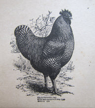 Load image into Gallery viewer, ABERDEEN FARM MORRISTOWN NJ c1899 Advertising Sign Ideal Plymouth Rock Male