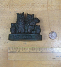 Load image into Gallery viewer, DE OXIDIZED M Co BRIDGEPORT Ct Owl Family Anique Bronze Advertising Paperweight