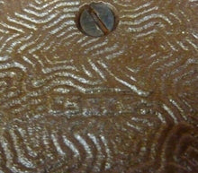 Load image into Gallery viewer, 1930s NYU New York University Decorative Art Bookend Doorstop CS&C Co ci&brass