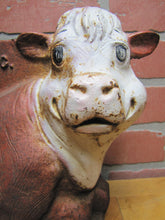 Load image into Gallery viewer, CARL AKEY SAFE-GUARD Old Cast Iron Figural Cow Farm Swine Medicine Advertising Doorstop Bootscraper Statue Store Display