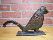 Load image into Gallery viewer, PARROT Antique Cast Iron Decorative Arts Figural Bird Nut Cracker Display Art
