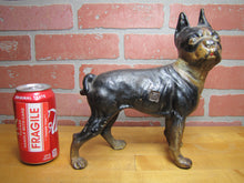 Load image into Gallery viewer, BOSTON TERRIER BULLDOG DOG Antique Cast Iron Doorstop Old Paint Unusual Version
