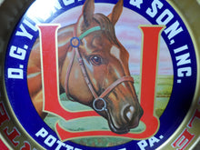 Load image into Gallery viewer, D G YUENGLING &amp; SON POTTSVILLE PA BEER PORTER ALE Bar Pub Tavern Tray

