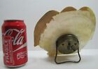 Load image into Gallery viewer, EAGLE Mother of Pearl MOP Antique 19c Folk Art Figural Clock New Haven USA

