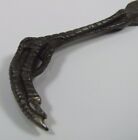 Chicken Claw Bird Foot Feather Old Cast Iron Letter Opener Decorative Desk Art