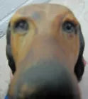 Load image into Gallery viewer, HOUND DOG Old Figural Dogs Head Plaque THOROUGHBREDS RENFREW STUDIOS BUFFALO NY
