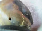 Load image into Gallery viewer, HOUND DOG Old Figural Dogs Head Plaque THOROUGHBREDS RENFREW STUDIOS BUFFALO NY
