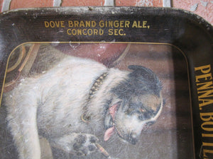 1910 PENNA BOTTLING & SUPPLY Tray SWALLOW BEVERAGES DOVE GINGER ALE PHILA CAMDEN
