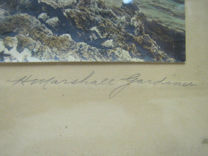 Antique H Marshall Gardiner ' Bermuda ' hand colored tinted photo print artwork