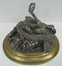 Load image into Gallery viewer, 1882 PARIS AGRICULTURAL EXPO Poultry Award FANNIERE FRERES Dead Bird Art Statue
