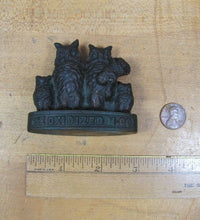 Load image into Gallery viewer, DE OXIDIZED M Co BRIDGEPORT Ct Owl Family Anique Bronze Advertising Paperweight
