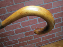 Load image into Gallery viewer, JOSAM DRAINS 1923 ATLANTIC CITY N A of M P Cane Walking Stick Advertising Promo
