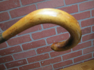 JOSAM DRAINS 1923 ATLANTIC CITY N A of M P Cane Walking Stick Advertising Promo