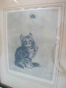 Old Artwork 'Bumble Bee' Kitten watching Bee Meta Pluckebaum ? print etch framed