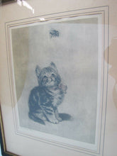 Load image into Gallery viewer, Old Artwork &#39;Bumble Bee&#39; Kitten watching Bee Meta Pluckebaum ? print etch framed

