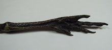 Load image into Gallery viewer, Antique BRONZE CHICKEN CLAW BIRD FOOT FEATHER Ornate Letter Opener Pager Turner
