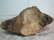 Load image into Gallery viewer, Folk Art Petrified Mushroom - 1939 Tatalrose British Columbia indian chief wahoo
