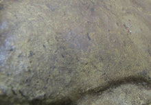 Load image into Gallery viewer, MAIDEN BONNET SHIP OCEAN SUN FISH Old Brass Figural Decorative Arts Trinket Tray
