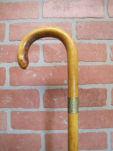 JOSAM DRAINS 1923 ATLANTIC CITY N A of M P Cane Walking Stick Advertising Promo