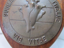 Load image into Gallery viewer, Old Brass SUBMARINE SQUADRON TWELVE Plaque VIS VITAE High Relief Naval Sign
