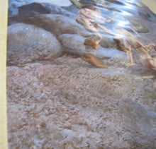 Load image into Gallery viewer, Orig 1980s CompuServe ADVENTURE Video Game Promo Poster artwrk Gray Morrow SciFi
