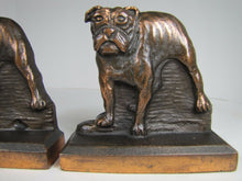Load image into Gallery viewer, BULLDOG Antique Pair Bookends Cast Iron Bronze Wash Mack Truck Georgia Dog Book Ends
