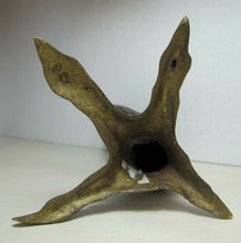 Load image into Gallery viewer, Vtg Brass Clawed Chicken Foot Candlestick unique finely detailed candle holder
