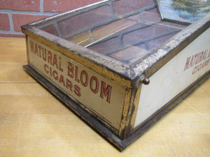NATURAL BLOOM CIGARS Antique Cigar Store Display Case Tin Litho Sign PROPERTY OF HARRY BLUM NYC FELDHUHN DISPLAY CASE Co NYC