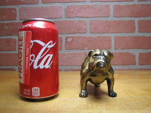 YALE University Bulldog Old Figural Dog Paperweight Statue Decorative Art Souvenir Advertising