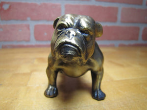 YALE University Bulldog Old Figural Dog Paperweight Statue Decorative Art Souvenir Advertising